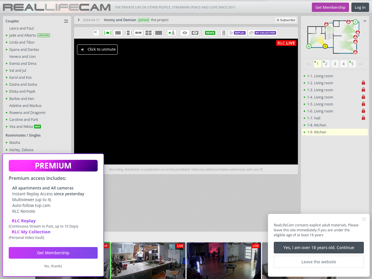 Nibbler Test any website