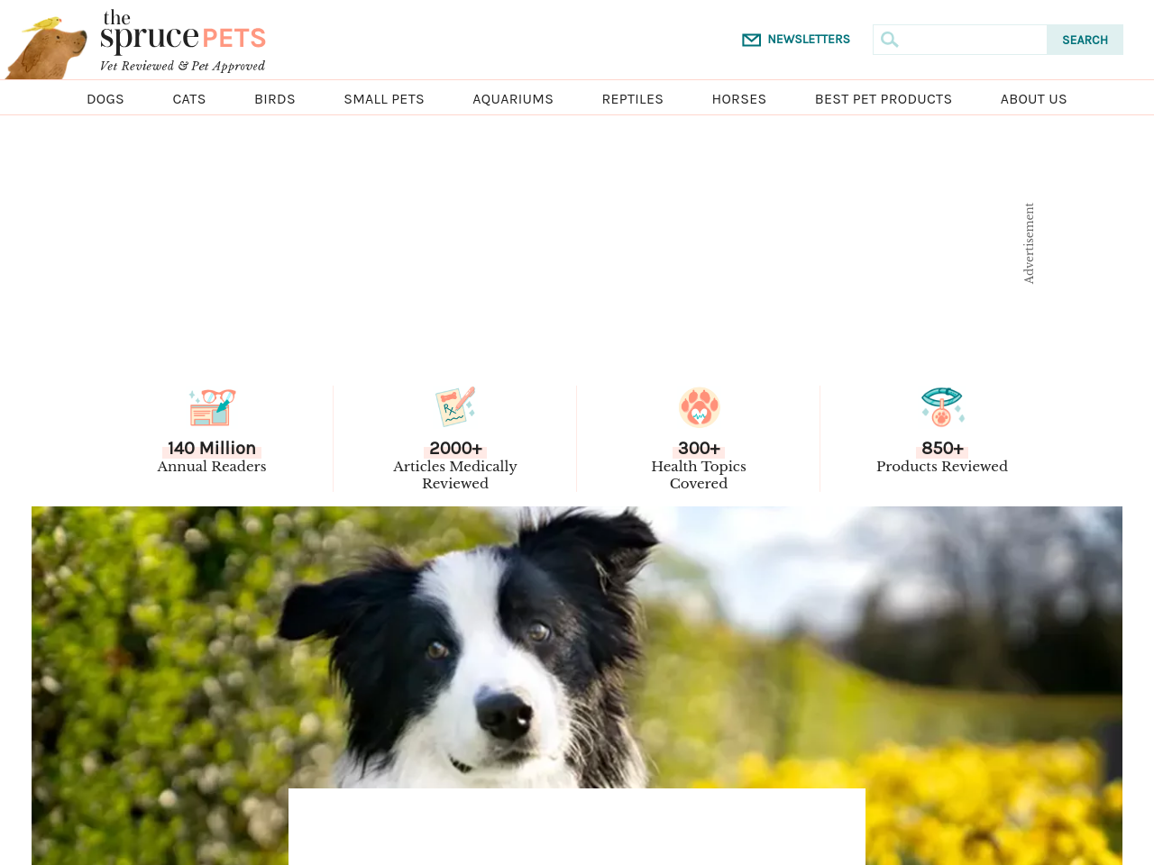 Nibbler Test any website